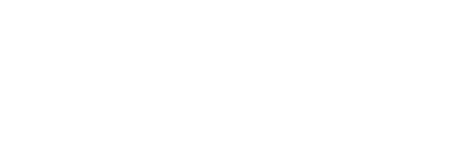 Sanmata logo